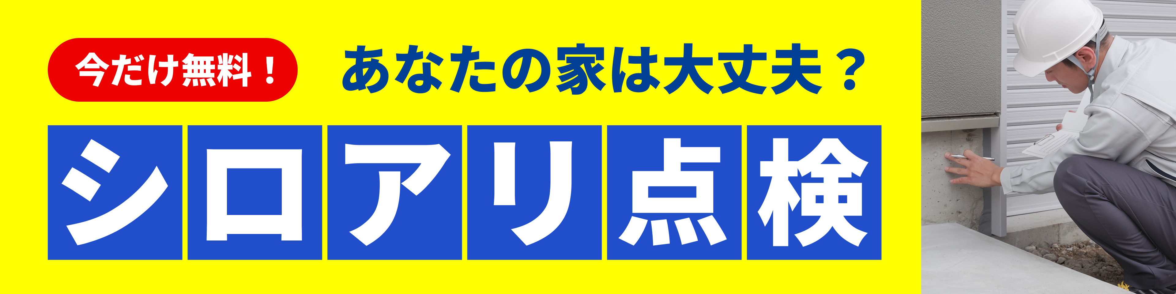 シロアリ点検